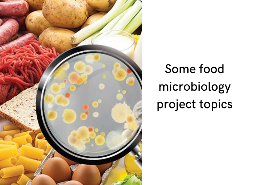 food microbiology project topics