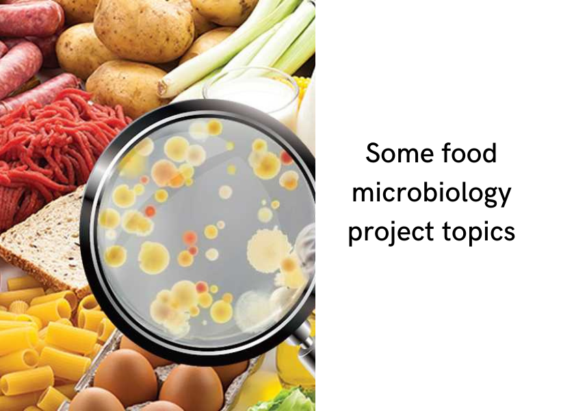 List Of Some Food Microbiology Project Topics In Pdf You Can Consider 