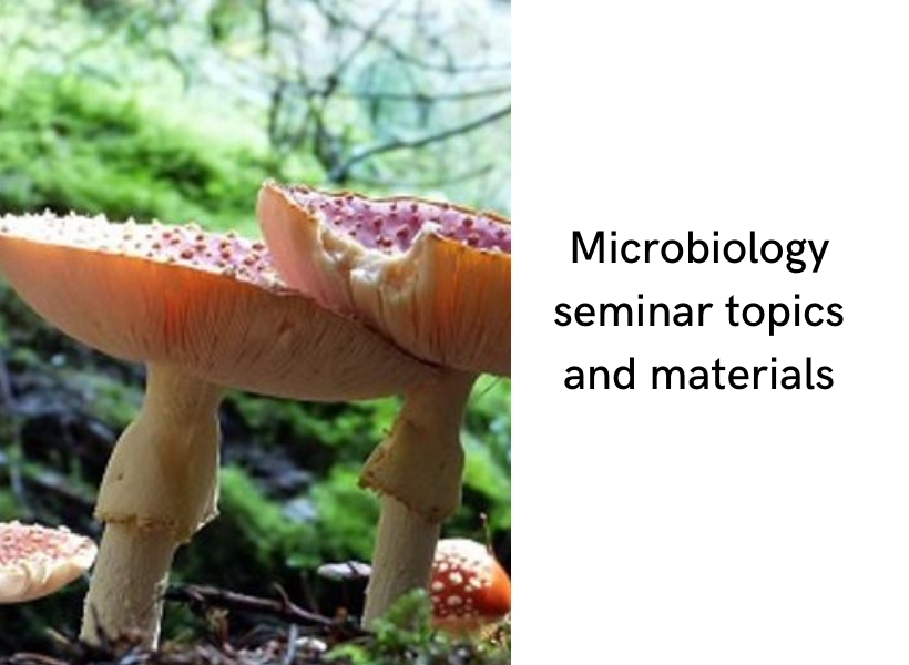 Here Are Some Microbiology Seminar Topics And Materials In PDF 