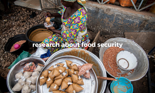 food security research
