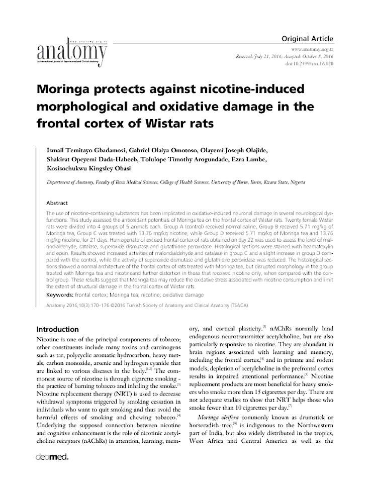 Wistar essay 07 image